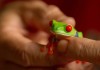 A Pet Red Eyed Tree Frog for Kids is a Learning Process