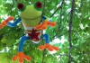 Red Eyed Tree Frog Toys for All Ages